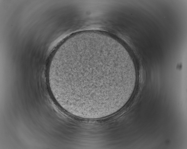 X0000114691452200912021034