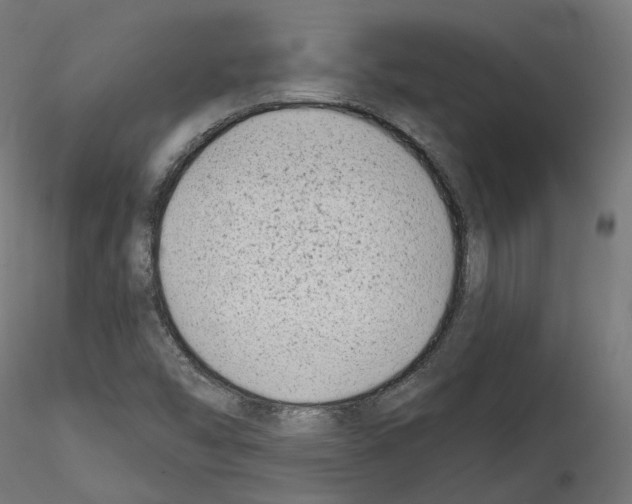 X0000114691454200912021034