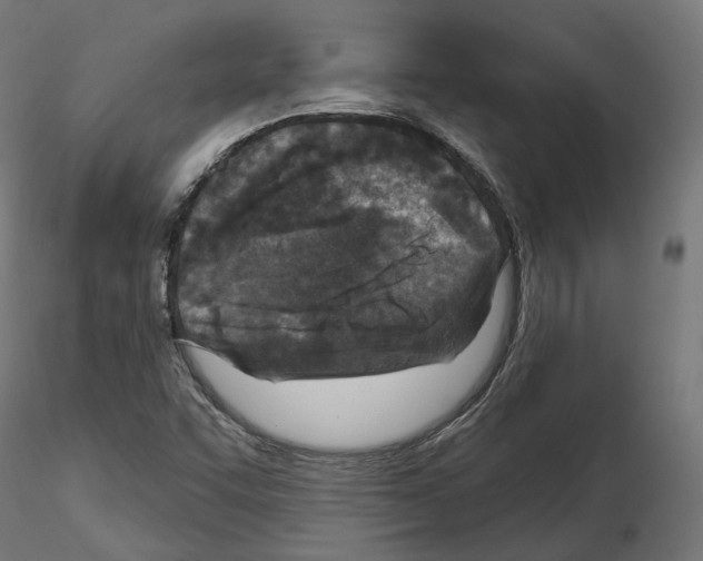 X0000114691455200912021034