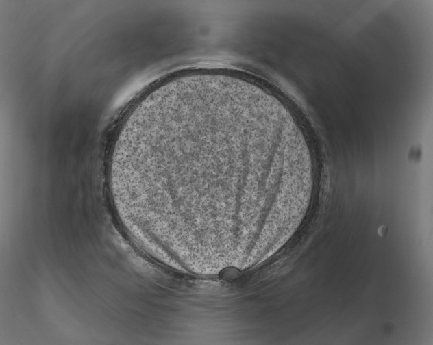 X0000114691456200912021034