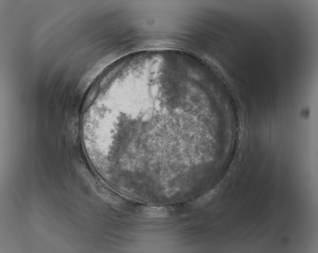 X0000114691457200912021034