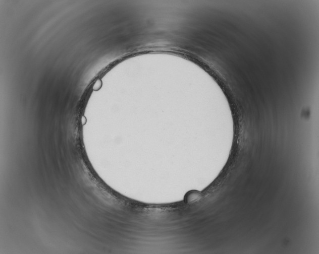 X0000114691458200912021033