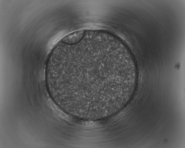 X0000114691459200912021033