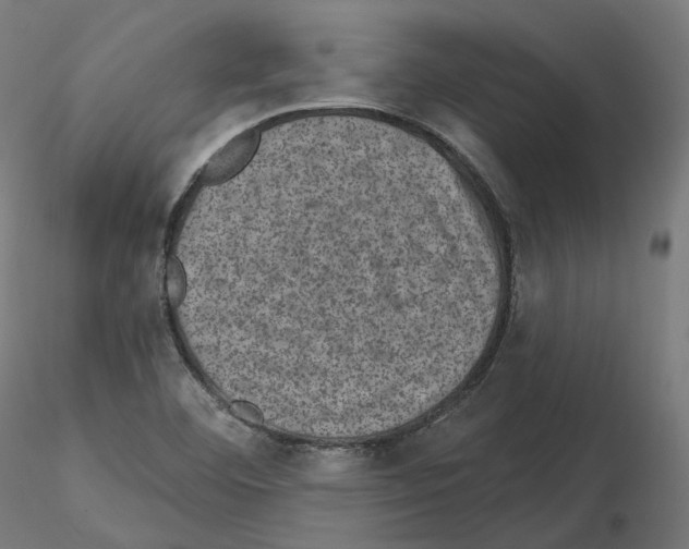 X0000114691460200912021033