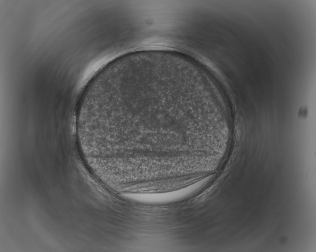 X0000114691461200912021033