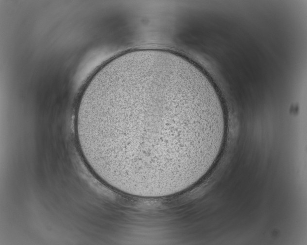 X0000114691462200912021033