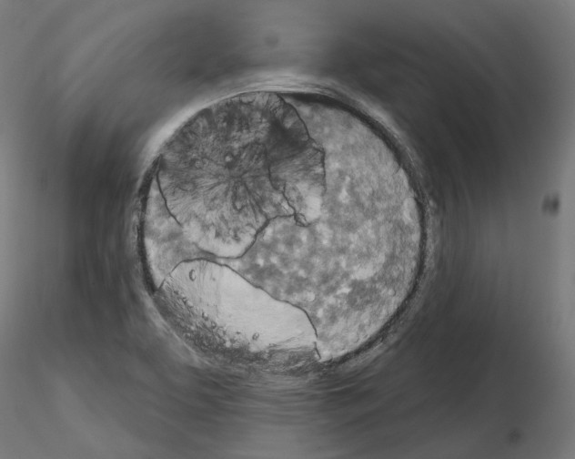 X0000114691463200912021033