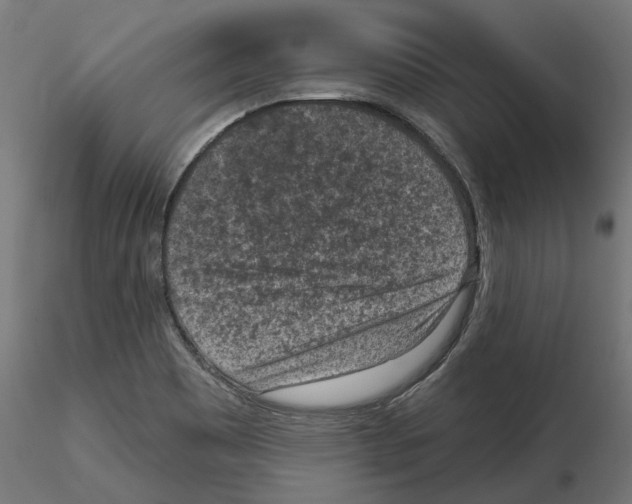 X0000114691465200912021033