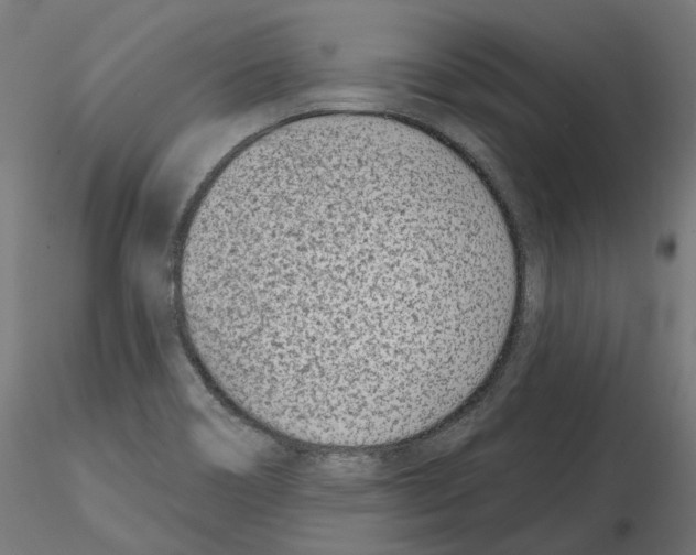 X0000114691466200912021033