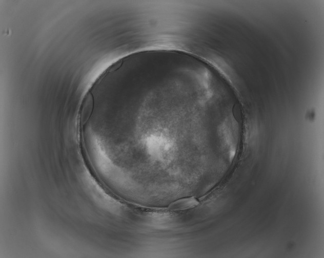 X0000114691468200912021033