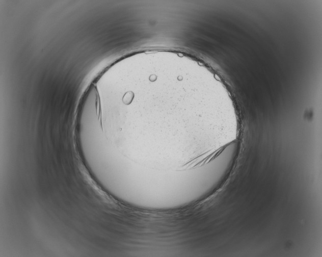 X0000114691469200912021033