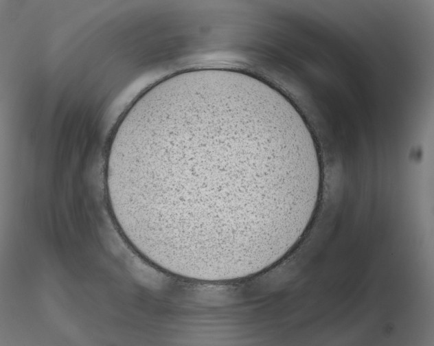 X0000114691470200912021033