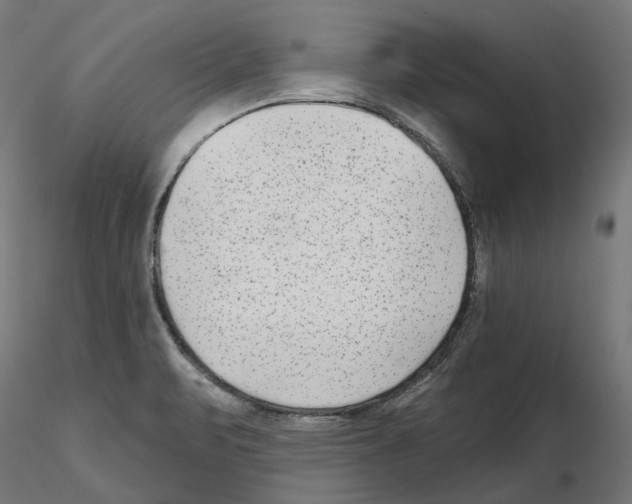 X0000114691471200912021033