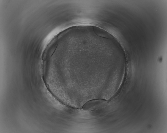 X0000114691472200912021033