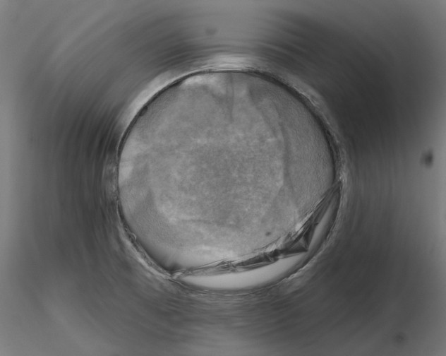 X0000114691473200912021033