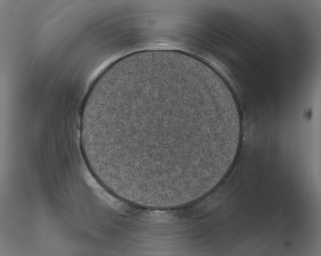 X0000114691476200912021033