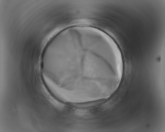 X0000114691477200912021033