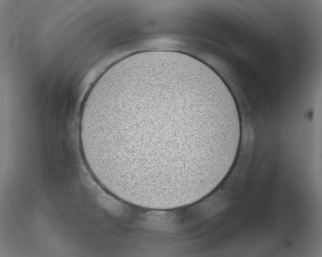 X0000114691478200912021033