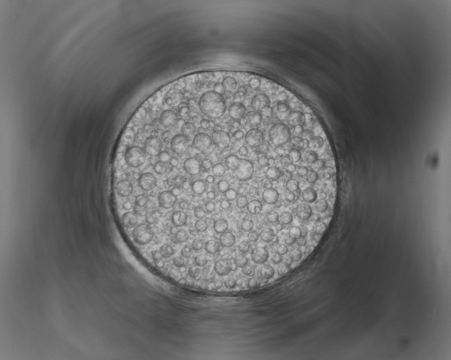X0000114691479200912021033