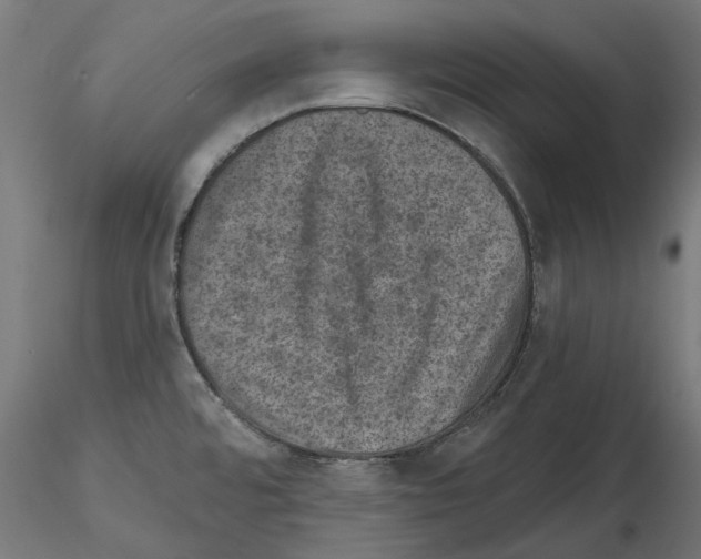 X0000114691480200912021033