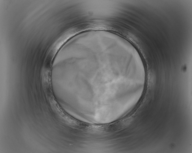 X0000114691481200912021033