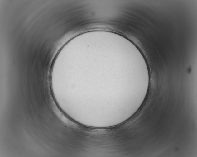 X0000114691482200912021033