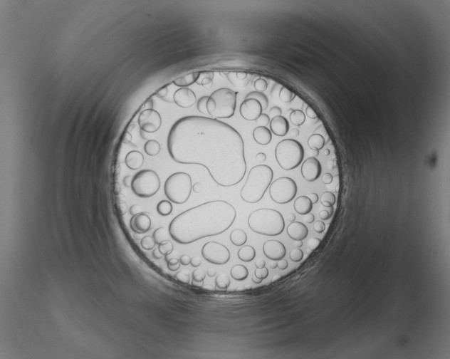 X0000114691483200912021033