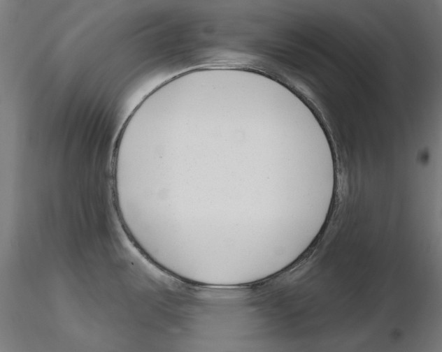X0000114691487200912021033