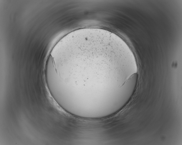 X0000114691488200912021033