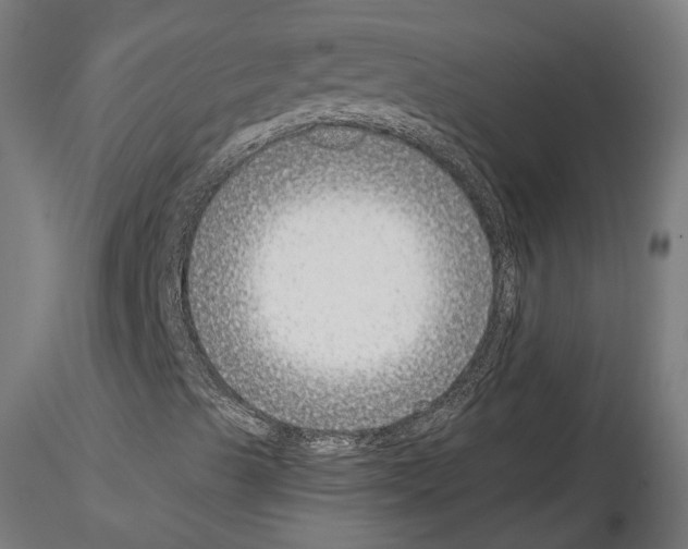 X0000114691489200912021032