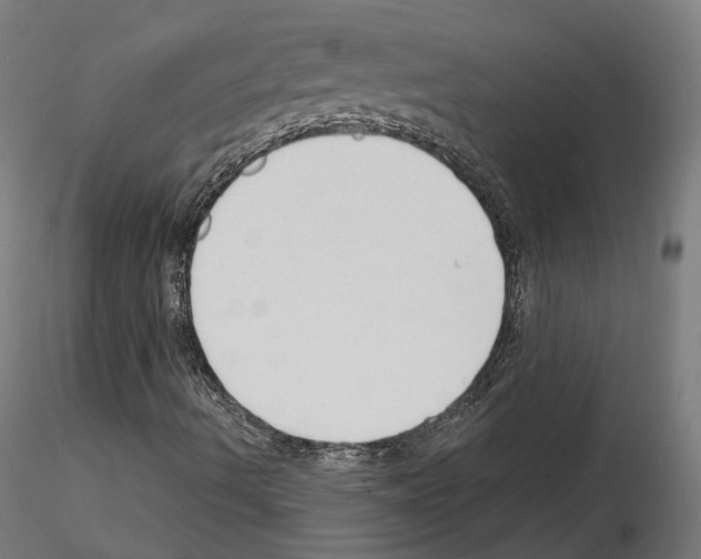 X0000114691490200912021032