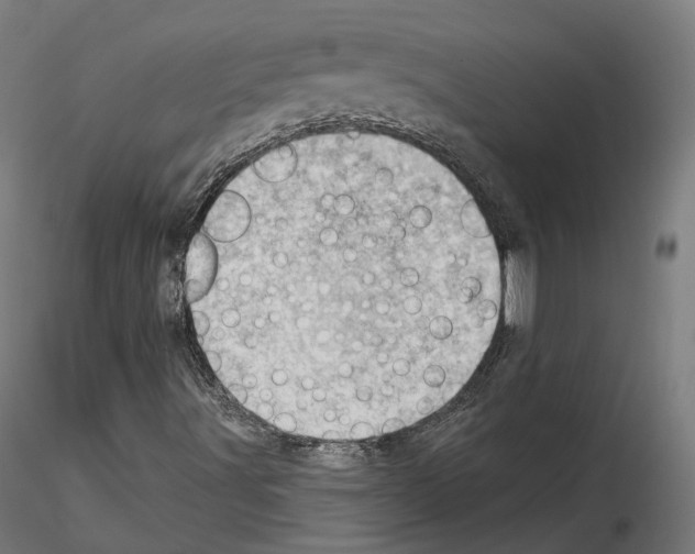 X0000114691491200912021032