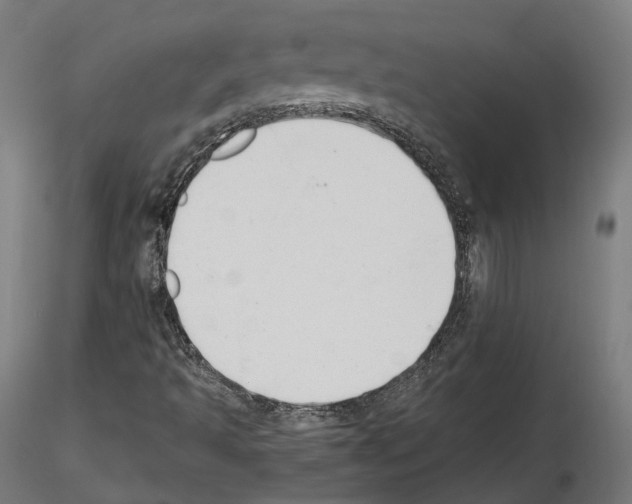 X0000114691493200912021032