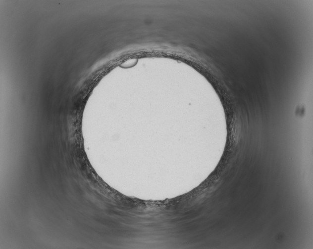 X0000114691494200912021032