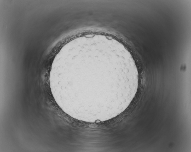 X0000114691495200912021032
