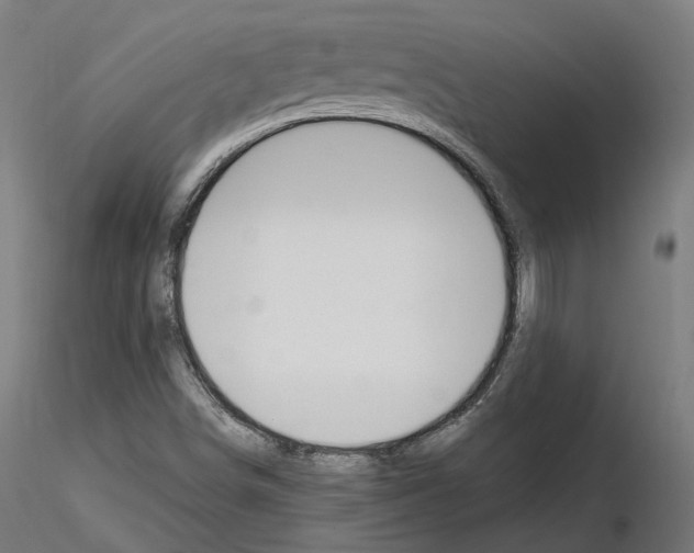 X0000114691498200912021032