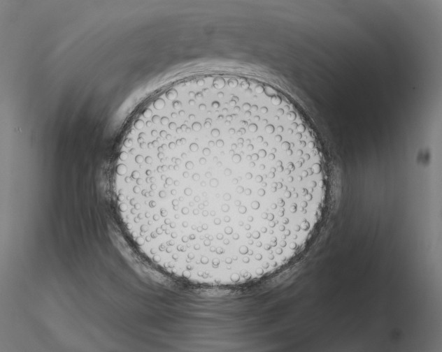 X0000114691499200912021032