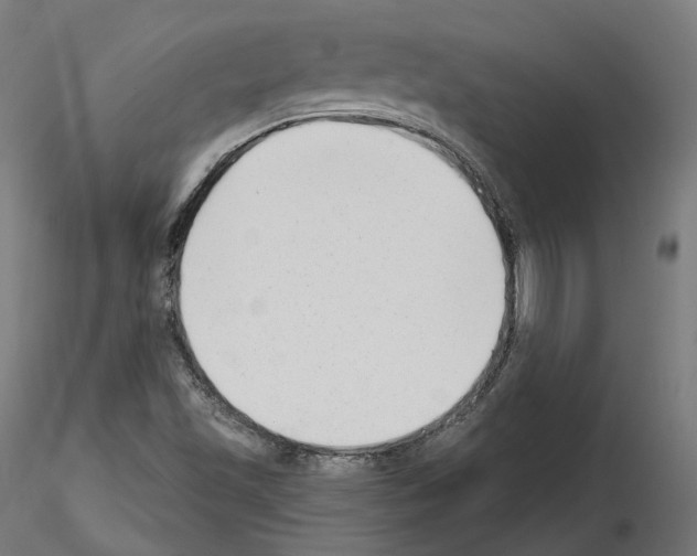 X0000114691501200912021032