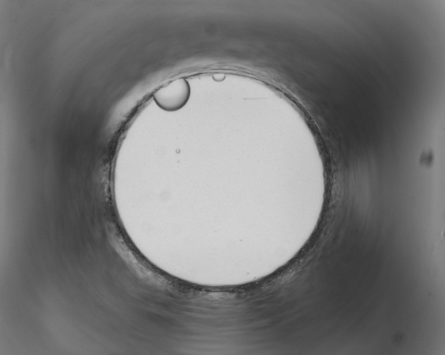 X0000114691503200912021033