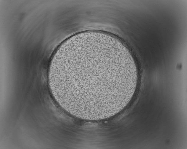 X0000114691505200912021033