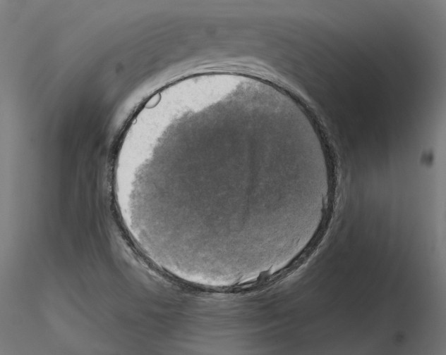 X0000114691506200912021033
