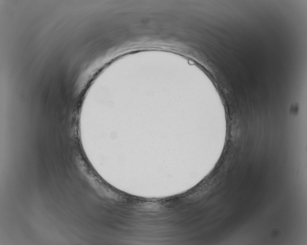 X0000114691507200912021033