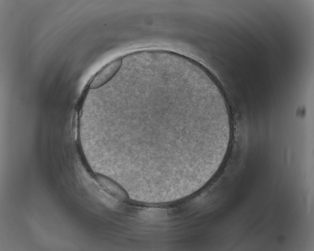 X0000114691510200912021033