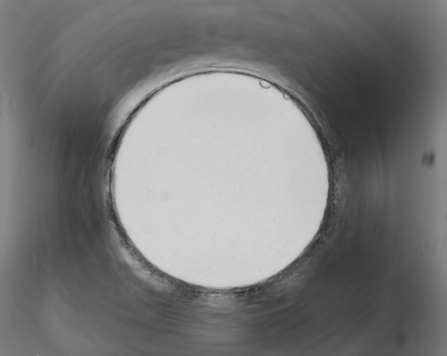 X0000114691511200912021033