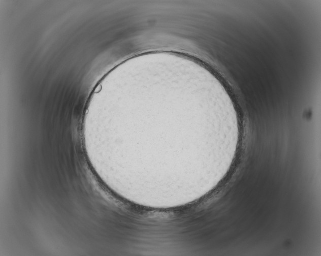 X0000114691513200912021033