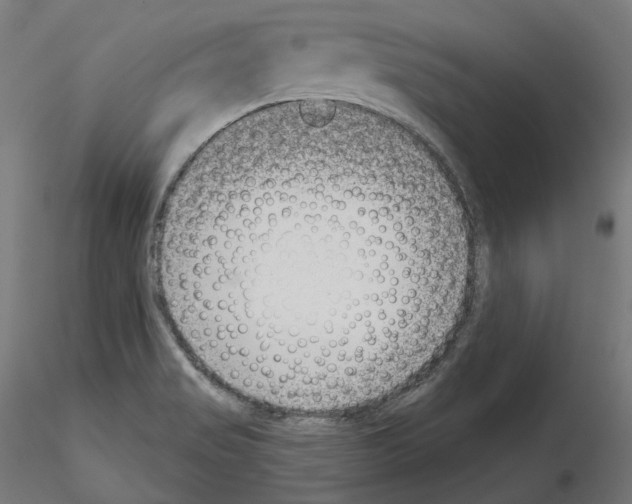 X0000114691517200912021033