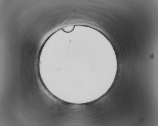 X0000114691518200912021033