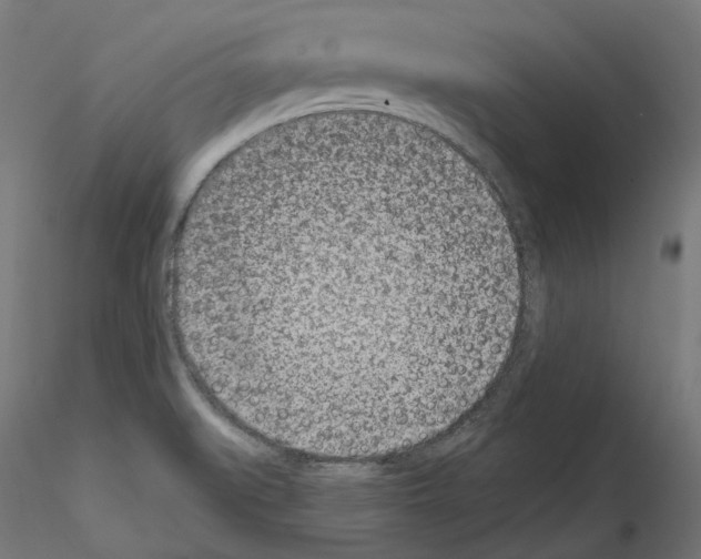 X0000114691519200912021033