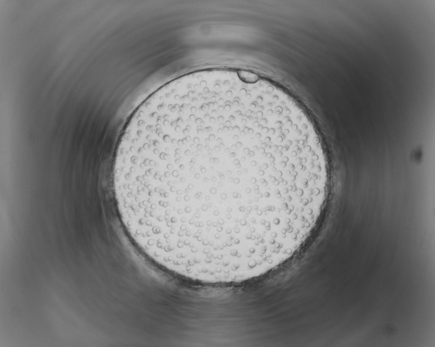 X0000114691521200912021033