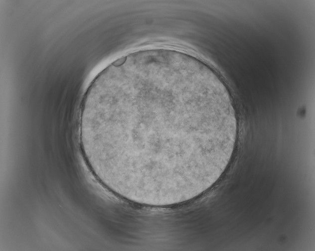 X0000114691522200912021033